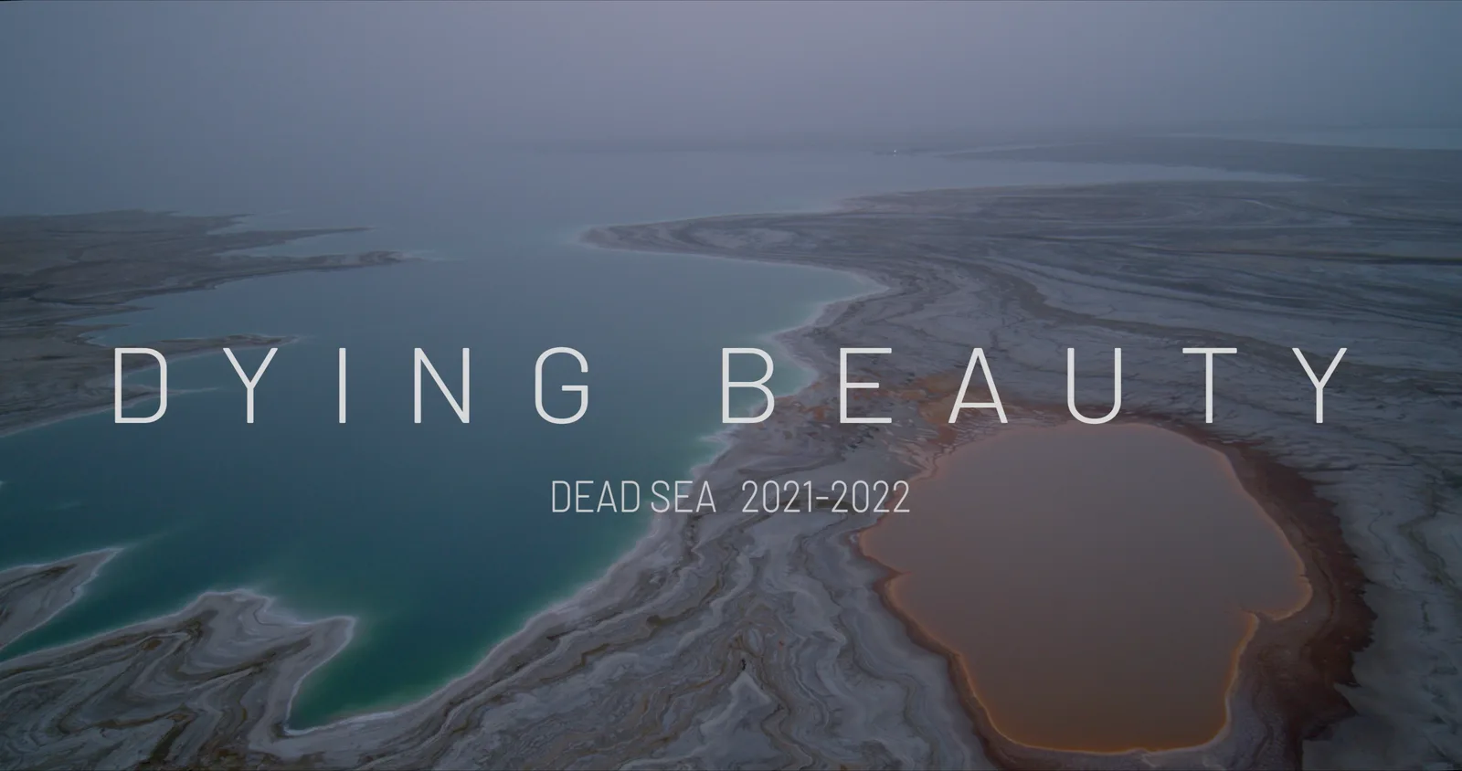 A frame from the film Dying Beauty