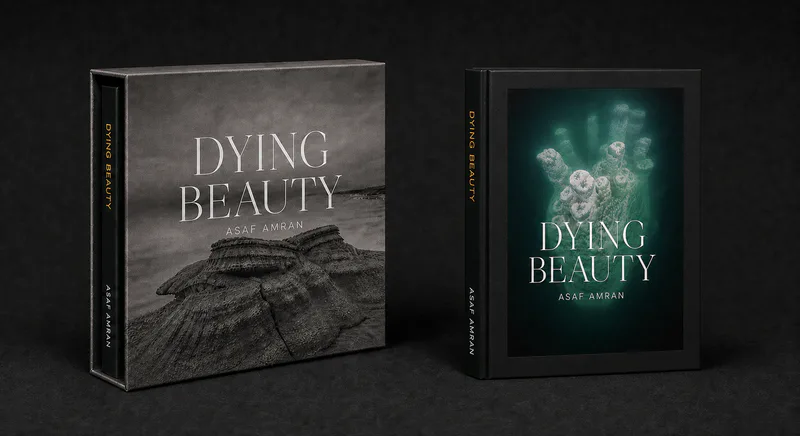 Dying Beauty book and slipcase visualization