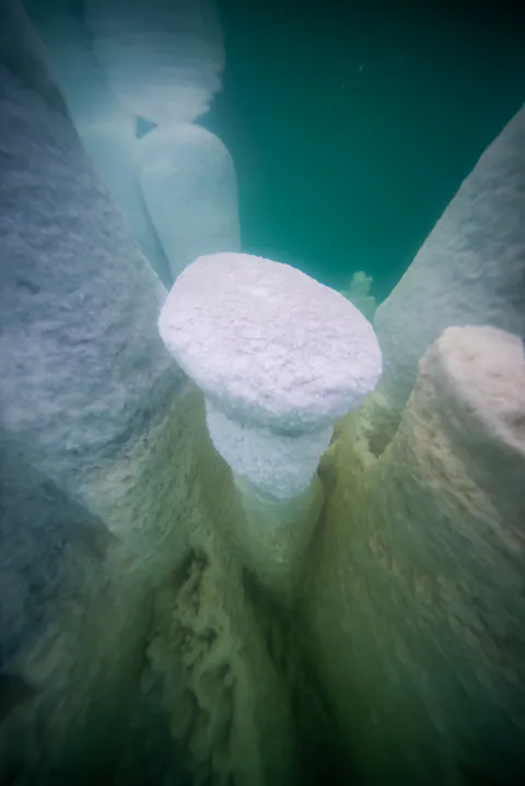 Dying Beauty — Dead Sea 2025, photograph by Asaf Amran