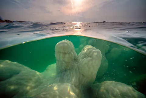 Dying Beauty — a salt formation in the Dead Sea, 2021-2022, photograph by Asaf Amran (34 of 59)