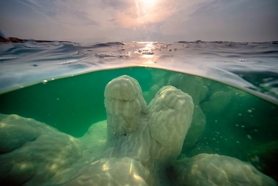 Dying Beauty — Dead Sea 2021-2022, photograph by Asaf Amran