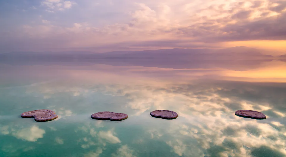 Dying Beauty — Dead Sea 2021-2022, photograph by Asaf Amran