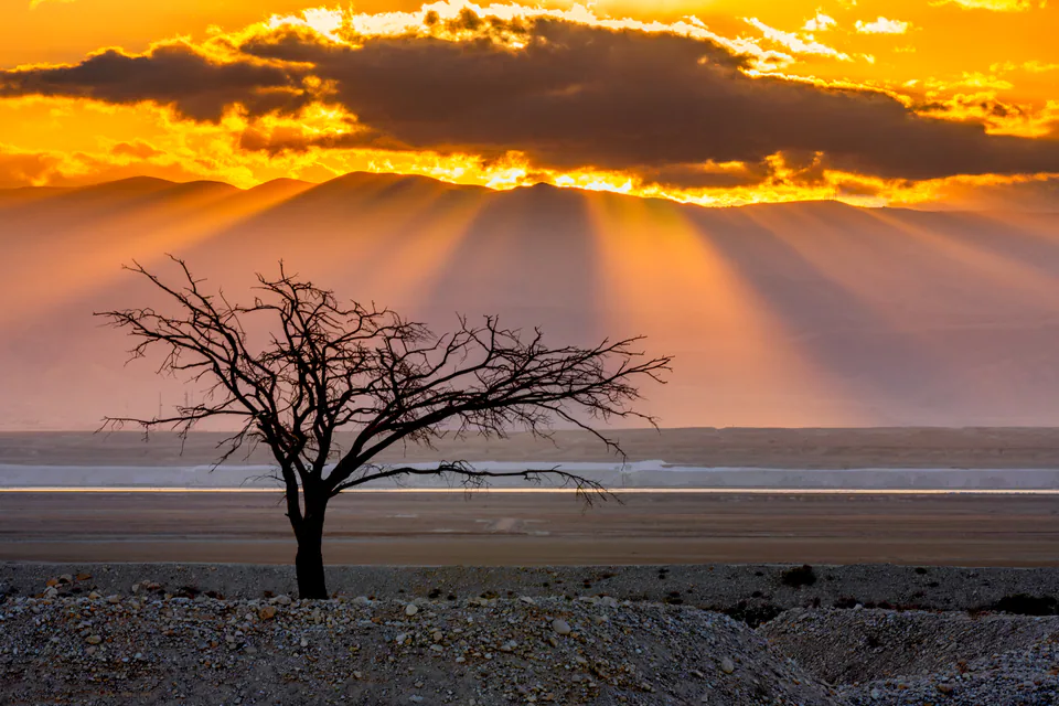 Dying Beauty — Dead Sea 2021-2022, photograph by Asaf Amran