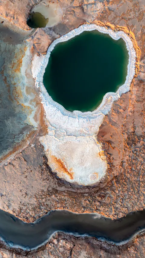 Dying Beauty — Dead Sea 2025, photograph by Asaf Amran