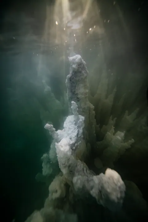 Dying Beauty — Dead Sea 2025, photograph by Asaf Amran