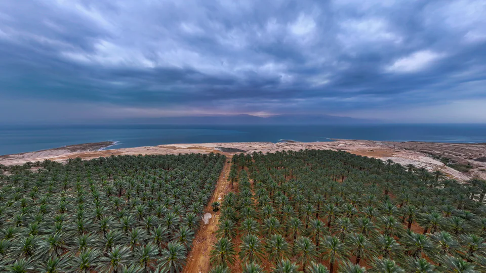 Dying Beauty — Dead Sea 2025, photograph by Asaf Amran