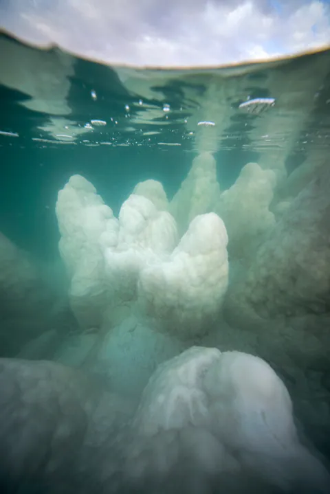 Dying Beauty — Dead Sea 2021-2022, photograph by Asaf Amran