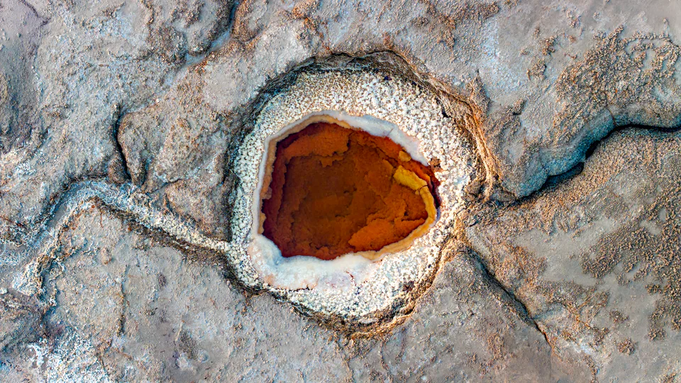 Dying Beauty — Dead Sea 2025, photograph by Asaf Amran