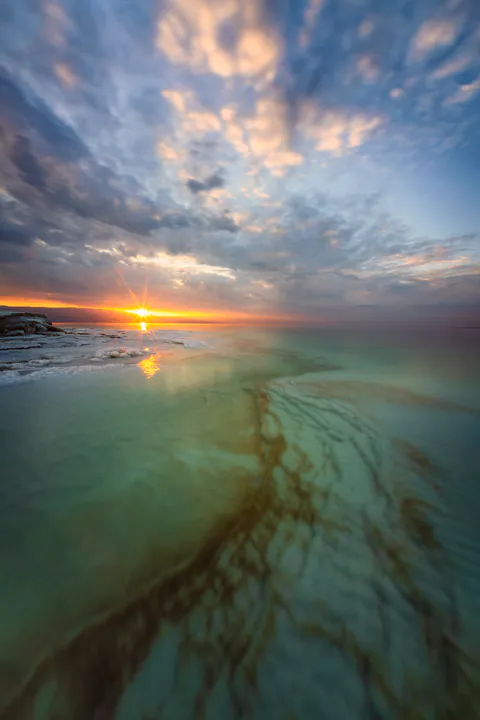 Dying Beauty — Dead Sea 2024, photograph by Asaf Amran