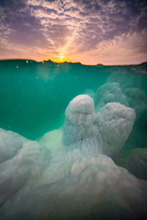 Dying Beauty — Dead Sea 2021-2022, photograph by Asaf Amran