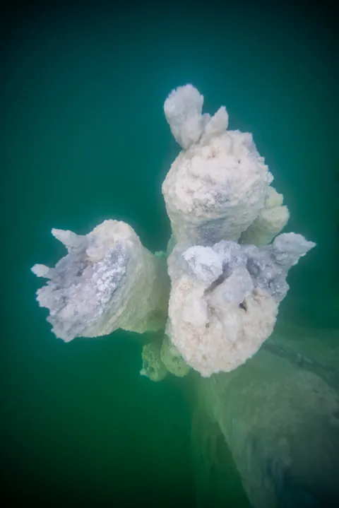 Dying Beauty — Dead Sea 2025, photograph by Asaf Amran
