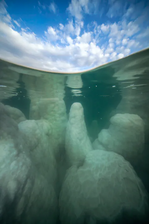 Dying Beauty — Dead Sea 2021-2022, photograph by Asaf Amran