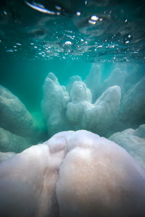 Dying Beauty — Dead Sea 2021-2022, photograph by Asaf Amran