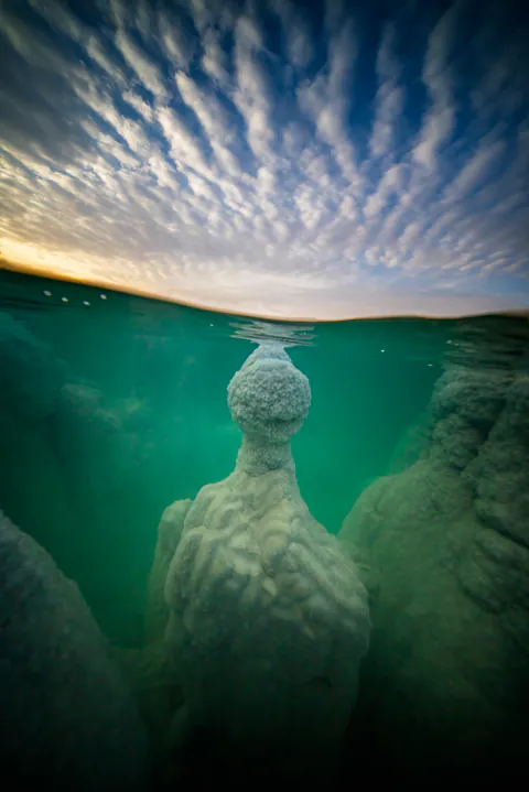 Dying Beauty — Dead Sea 2021-2022, photograph by Asaf Amran