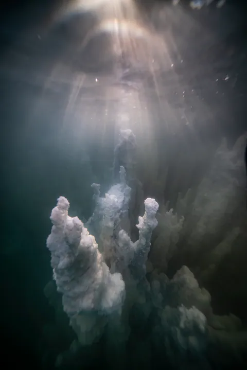 Dying Beauty — Dead Sea 2025, photograph by Asaf Amran